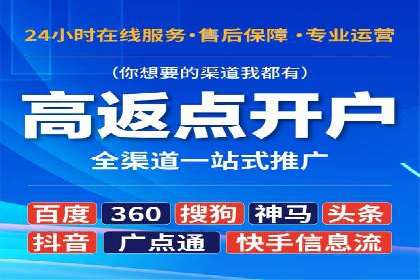 网络营销新篇章：竞价推广案例分析