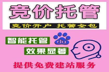 案例解读：竞价托管助力企业广告投放效果提升